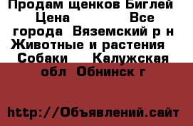 Продам щенков Биглей › Цена ­ 15 000 - Все города, Вяземский р-н Животные и растения » Собаки   . Калужская обл.,Обнинск г.
